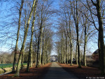 Het Nijenhuis